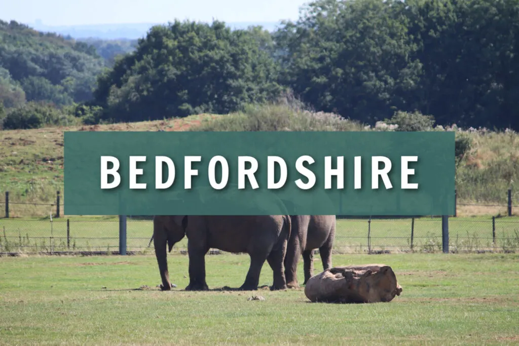 Whipsnade Zoo Bedfordshire