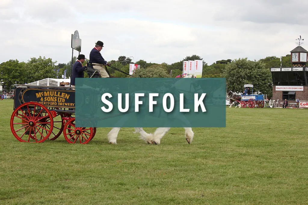 Suffolk show