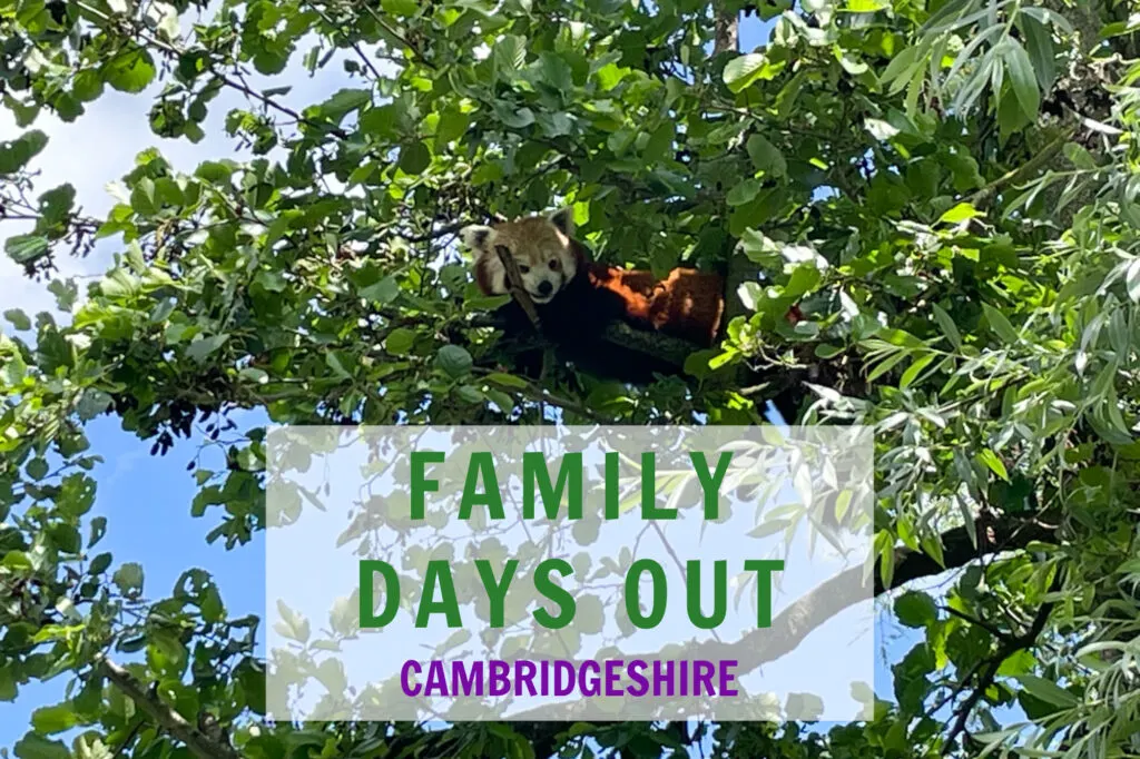 family days out cambridgeshire